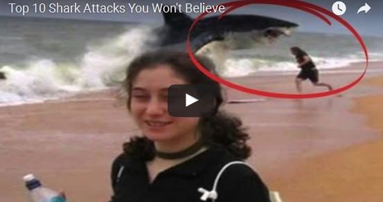 Top Shark Attacks you will not believe