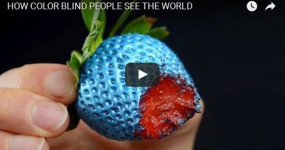 how-color-blind-people-see