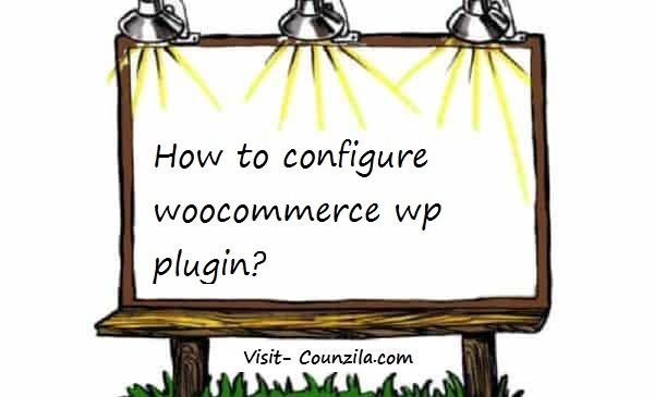 how to configure woocommerce wp plugin