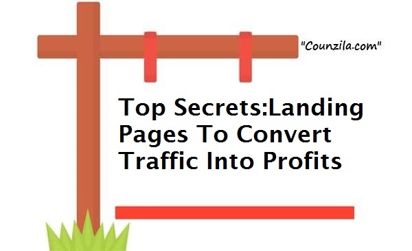 Landing Pages To Convert Traffic Into Profits